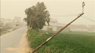 الرياح الشديدة تتسبب في سقوط أعمدة إنارة ببني سويف | صور