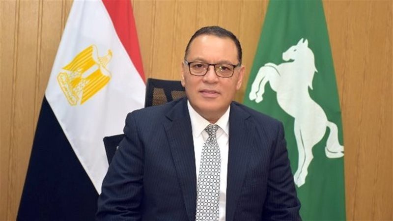 محافظ الشرقية
