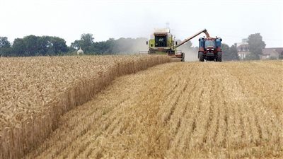 لماذا يطالب النواب بإدماج وزارات أخرى مع الزراعة في ملف الغذاء؟