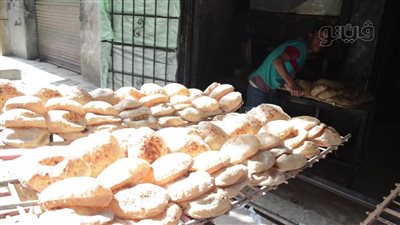 مين السبب في جنون أسعار العيش والفينو؟..أصحاب المخابز يتحدثون عن الأزمة.. فيديو