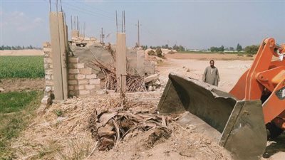 استرداد 203 أفدنة من أراضي محمية الوادي الأسيوطي ضمن الموجة 19 بأسيوط 