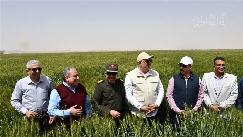 محافظ أسوان ووزير