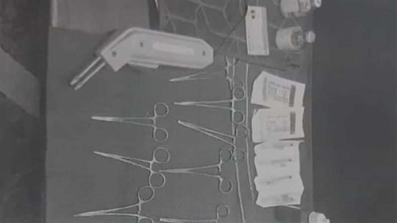 المضبوطات 