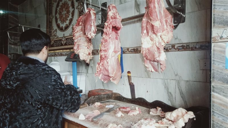 الإسكندرية