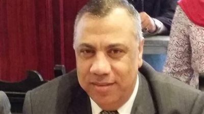 رئيس الغرفة التجارية بالدقهلية: كافة السلع متوفرة والزيادات في الأسعار مفتعلة 