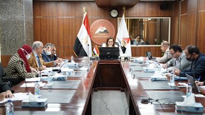 وزيرة التخطيط: نسعى لوضع خطة خضراء للعام القادم
