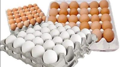 أسعار كرتونة البيض في شمال سيناء اليوم 12-3-2022 