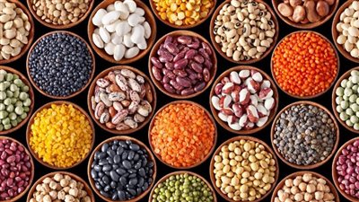 أسعار البقوليات اليوم الخميس 24 -3-2022 في الدقهلية