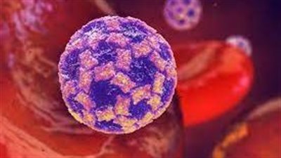 نوروفيروس.. تحذيرات من وباء جديد يتفشى في بريطانيا