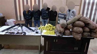 ضبط مواد مخدرة وأسلحة نارية بحوزة تشكيل عصابي بالدقهلية