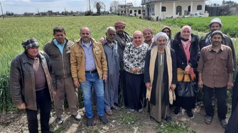 يوم حقلى لمحصول القمح