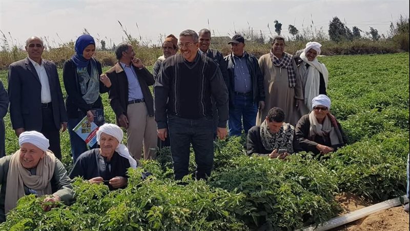 زراعة الإسماعيلية