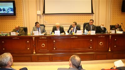 ممثل وزارة التجارة يكشف لنواب الشيوخ سبب قرار وقف تصدير القمح