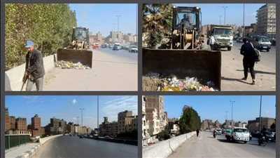 الجيزة ترفع  7945 طن مخلفات أعلى الطريق الدائري | صور