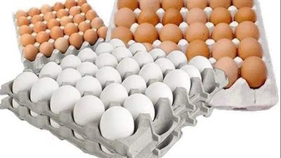 أسعار كرتونة البيض اليوم الخميس 7-4-2022 في الدقهلية