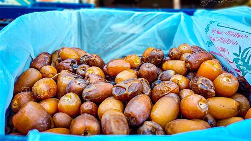 اشهر انواع البلح