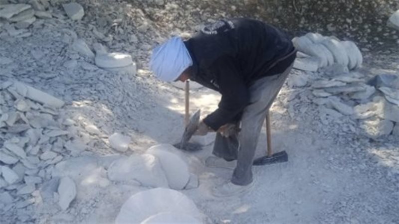 صناعة الرحايا في