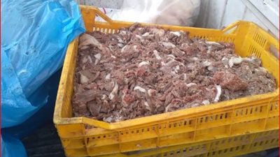 ضبط لحوم غير صالحة للاستخدام بمطعم مأكولات سوري بالعجوزة | فيديو