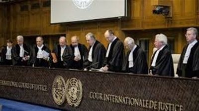 مستشار مرفق البيئة العالمي: نأمل أن تحل محكمة العدل الدولية قضايا النزاع المائي