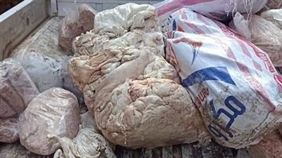 ضبط 700 كيلو كفتة ودهون لحوم غير صالحة بالجيزة | صور
