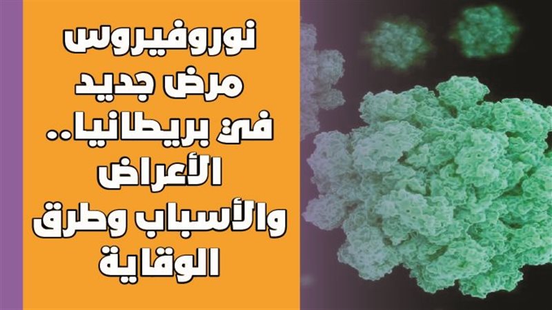 نوروفيروس مرض جديد