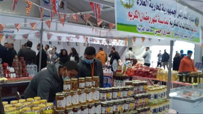 السكر بـ10 والفراخ بـ36 والبيض بـ52 جنيها.. أسعار السلع بمعرض أهلا رمضان | فيديو