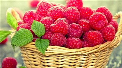 6 فوائد للتوت لا تعرفيها.. ننصحك بتناوله