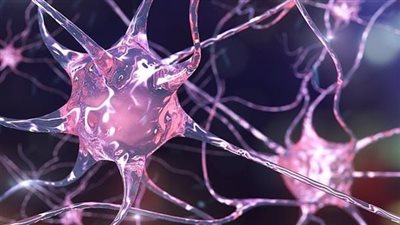 لأول مرة.. اكتشاف خلايا عصبية تتجاوب مع الغناء فقط