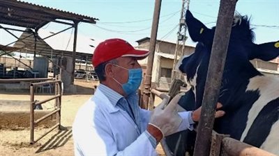  المنظمة العالمية للصحة الحيوانية تعلن خلو الشرقية من الدرن والبروسيلا