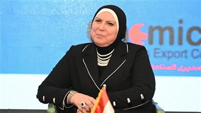 خط ساخن للاستفادة بخدمات جهاز تنمية المشروعات الصغيرة