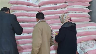غلق وتشميع مخزن بداخله 20 طن دقيق بقصد احتكارها بالجيزة | صور