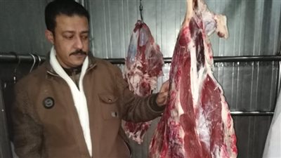 حملات مكثفة تحيل 99 محضرا بالمخالفات لنيابة الدقهلية