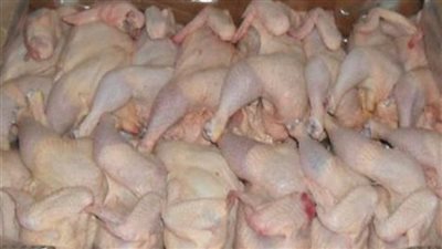 ضبط 100 كيلو دواجن مجهولة المصدر داخل مخزن بالبساتين