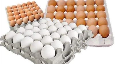 أسعار كرتونة البيض اليوم الاثنين 4-4-2022 في الدقهلية