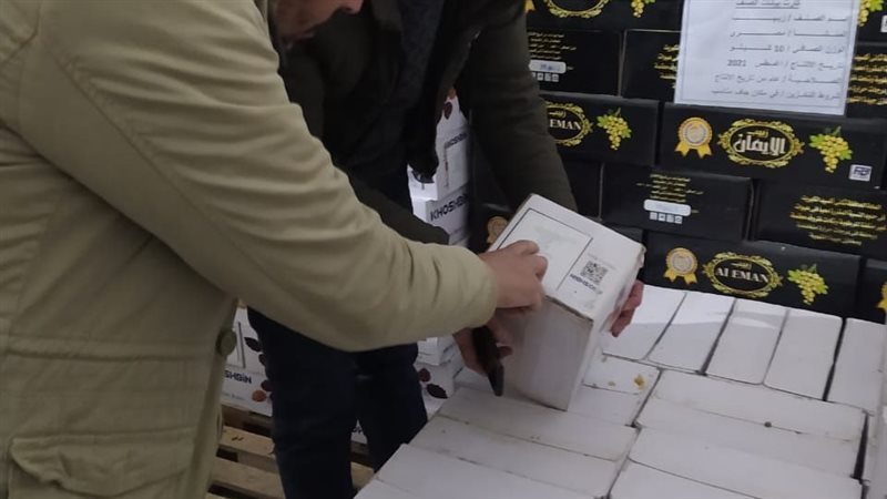 الإسكندرية