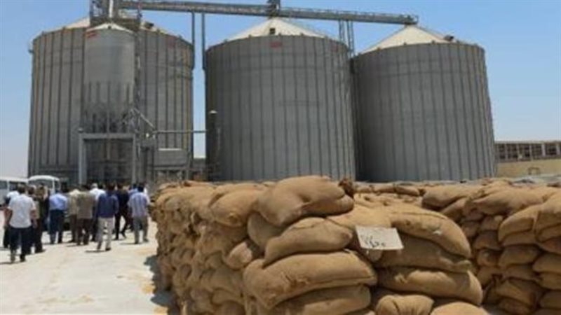 صوامع القمح