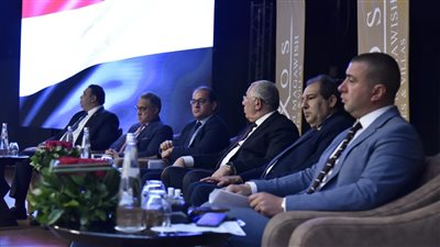 برلمانية مستقبل وطن بالشيوخ: تنسيق وتناغم بين عمل البرلمان والحكومة 