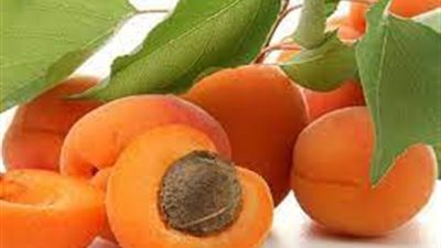 تفسير رؤية المشمش في المنام وعلاقتها بإهمال الزوج وغياب المسئولية 