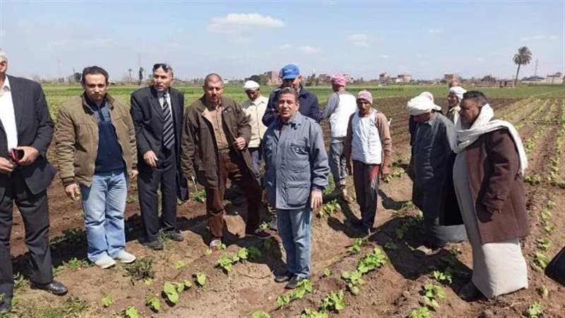 زراعة الشرقية