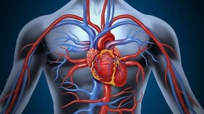 8 أسباب للإصابة بأمراض انسداد الشرايين