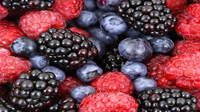 أبرزها تعزيز صحة الدماغ.. 7 فوائد للتوت الأسود 