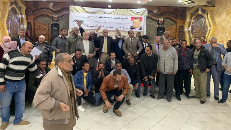 الحزب العربي الناصري
