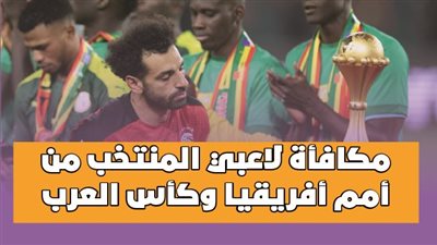 مكافأة لاعبي المنتخب من أمم أفريقيا وكأس العرب | انفوجراف 