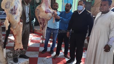ضبط طن لحوم غير صالحة للاستهلاك في أسواق أسوان | صور