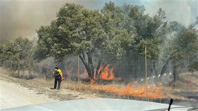 قضت على 54 ألف فدان.. حرائق مدمرة تجتاح غابات تكساس وتقتل شرطية | فيديو