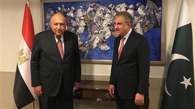 وزير الخارجية يبحث مع نظيره الباكستاني تعزيز العلاقات بين البلدين