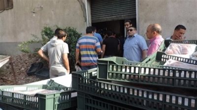 تحرير ٧٧ محضرا تموينيا وضبط ٤٥ طن دقيق وسكر مجهول المصدر بالجيزة | فيديو