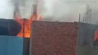 تفحم برج حمام.. حريق أعلى سطح مدرسة بالمنصورة | صور