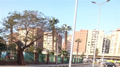 تجديد أعمدة إنارة محطة السكة الحديد بالجيزة