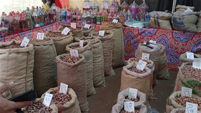 95 جنيها سعر كرتونة السلع بمعرض أهلا رمضان بالقليوبية| صور